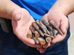 Школьник из Ростовской области с боеприпасами в карманах разгуливал у стен московского Кремля