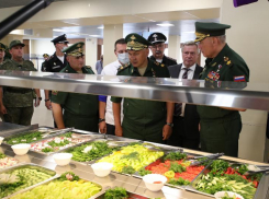 Власти Ростовской области переадресовали генералам критику Шойгу губернатора Голубева