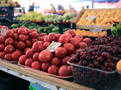 В Ростове втрое вырастет количество продовольственных ярмарок