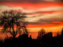 Облачно с прояснениями: погода в Ростове на 30 января