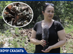 «Кладбище домашних животных»: ростовчане пожаловались на зловонную свалку из свиных туш