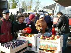 В Ростове пройдут три сельскохозяйственных ярмарки