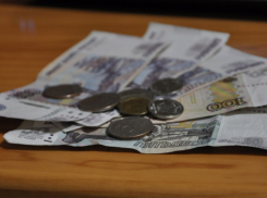 В Ростовской области увеличат прожиточный минимум в 2024 году