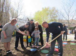 16 тысяч деревьев за сутки высадили в Ростове 