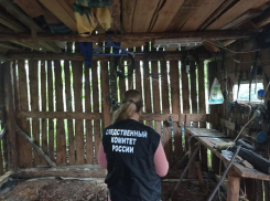 В Ростовской области нашли повешенной 15-летнюю школьницу