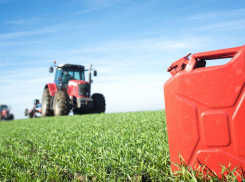 В Ростовской области дизтопливо с начала 2024 года подорожало на 5,9%