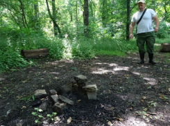 Порубочная свалка с «курортной» зоной для пикников возмутила экологов в Ботаническом саду Ростова