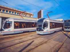 Голубев заявил, что трамвайные пути в Ростове-на-Дону могут проложить по эстакаде