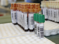 Наибольшее количество заболевших коронавирусом выявлено в Ростове и Батайске