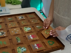 На фестивале «Воспетая степь» в Ростовской области рассказали об экопривычках и сортировке отходов