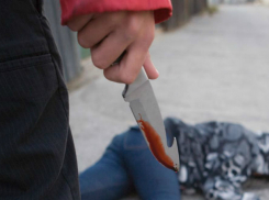 Озверевший 16-летний подросток 25 раз ударил ножом друга семьи в Ростове