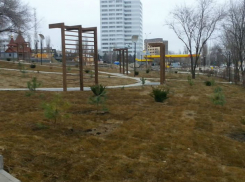 Ростовские общественники выяснили, почему в городском сквере за 40 млн рублей нет деревьев