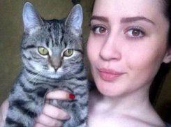 Топ-5 удивительных котов Ростова показали красивые девушки на фото и видео