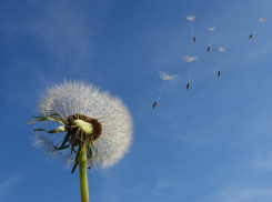 Резкое усиление ветра ожидается в Ростове с 10 по 12 марта