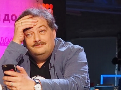 «Есть задача – испортить вам жизнь»: писатель Быков записал видеобращение к ростовской политзаключенной