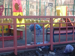 Красивую детскую площадку во дворе Ростова превратили в свалку бытовых отходов 