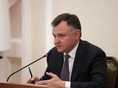 Губернатор Ростовской области попал в топ самых цитируемых СМИ 