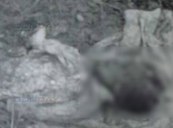 Найденный под Ростовом скелетированный труп девочки перевозили для захоронения