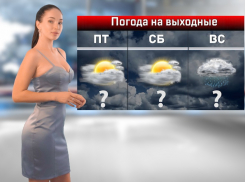 Пасмурная и дождливая погода ожидается в Ростове-на-Дону на этих выходных