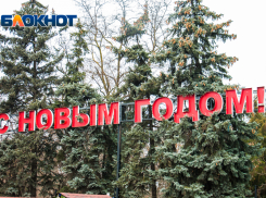 Стало известно, какие улицы перекроют на новогодние праздники в Ростове