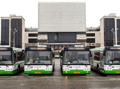 Бастрыкин потребовал доклад по истории с высаживанием подростка-инвалида из автобуса в Ростове