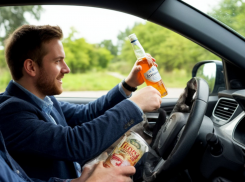 Госавтоинспекция Ростовской области: нетрезвые водители стали причиной 175 ДТП за год