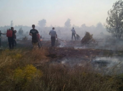 Сотрудники МЧС и МВД тушат загоревшийся сосновый питомник в Ростовской области