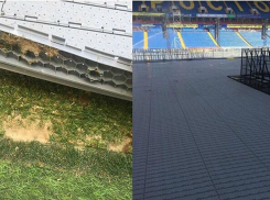 Поклонники Басты порвали сердце за газон «Ростов Арены»