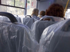 В Ростовской маршрутке водитель спасается целлофаном от «свинства» горожан