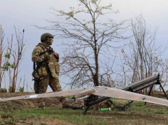 Для участников СВО освободят 4 тысячи рабочих мест в Ростовской области 