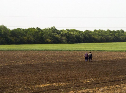 В Ростовской области определился крупнейший землевладелец