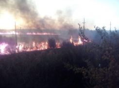 Под Ростовом тушат крупный ландшафтный пожар