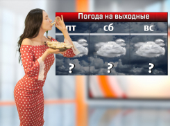 Сильный ветер и снег ожидаются в Ростовской области на этих выходных