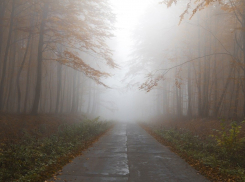 Туман и прохладно: прогноз погоды в Ростове на 19 ноября