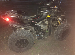 В Новочеркасске квадроцикл въехал в дерево, пострадали двое