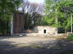 Забором из живых лиан  хочет украсить известный парк в центре Ростова компания-концессионер 