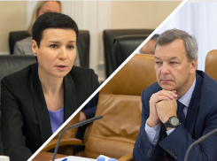 Одна иномарка и несколько домов: сенаторы от Ростовской области отчитались о доходах в 2021 году