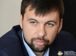 Денис Пушилин: Симптомы подготовки новой карательной операции на Украине налицо