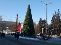 В Ростове-на-Дону установили главную новогоднюю елку