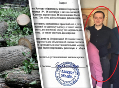 Администрация Кировского района проигнорировала вопрос о вырубке деревьев на Пушкинской