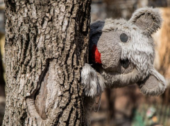 Холодная и солнечная суббота ждет ростовчан 3 ноября