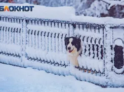 Синоптики рассказали, когда ожидается первый снег в  Ростовской области 