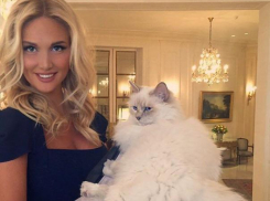 Знаменитая ростовчанка Виктория Лопырева требует наказать живодерок из Хабаровска 