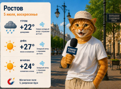 В Ростов 5 июля вернётся жара до +27 