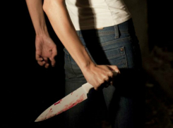 Школьницу из Ростовской области подозревают в покушении на убийство знакомого