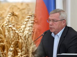 Губернатор Ростовской области будет контролировать перепалку двух фермеров из-за земли