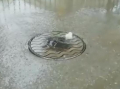 В Ростове возле детского садика прорвало канализацию