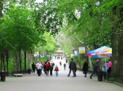 Власти Ростова предложили корейцам заняться освещением парка Горького