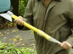 Ударами топора мужчина проломил череп приятелю во время застолья в Ростовской области