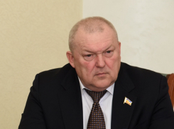 Место умершего главрача горбольницы №20 Ростова в заксобрании занял владелец кондитерской компании